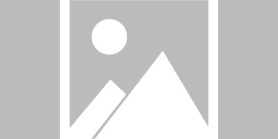乐鱼体育官网网页版-镜报：曼联搁置B费的续约谈判但他承诺留队，目前优先任务是引援